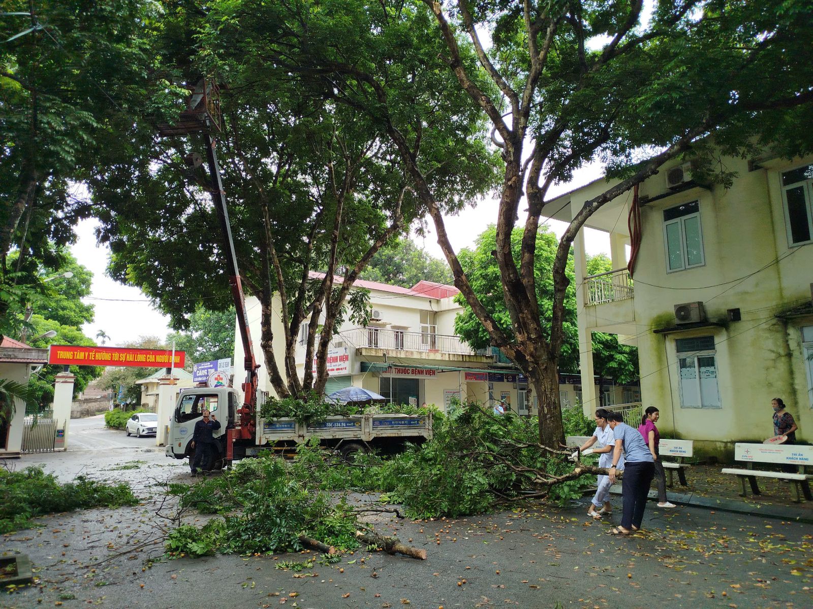 nỗ hu