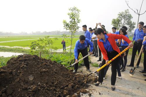 nỗ hu